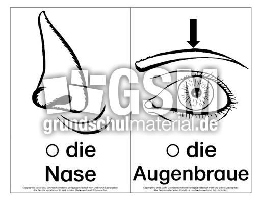 Bild-Wort-Karten-Körperteile 3.pdf